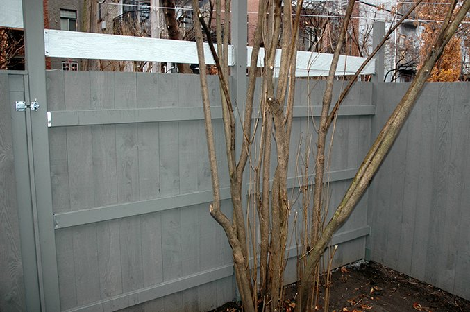 Clôture de cour arrière et accès au garage (Rue Fabre, Montréal).